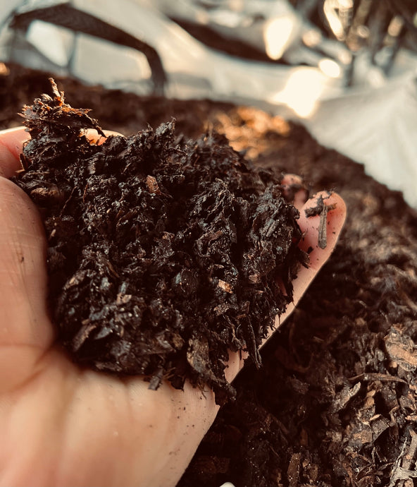 How To Use Mushroom Compost In Garden 