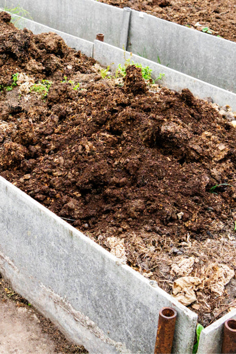 Benefits Of Manure Compost In Your Garden