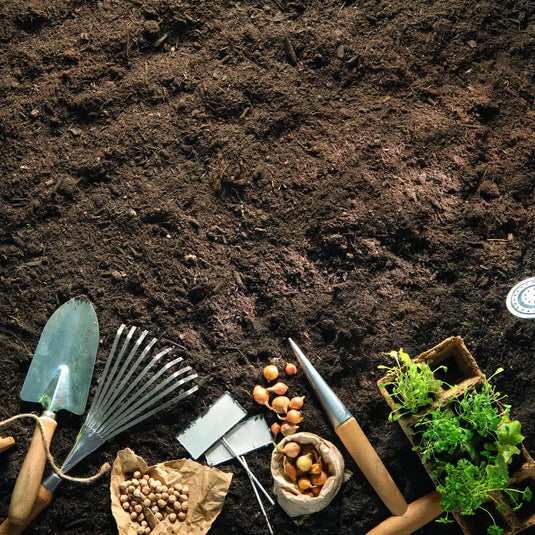 Why Use Good Quality Soil In Your Vegetable Garden!