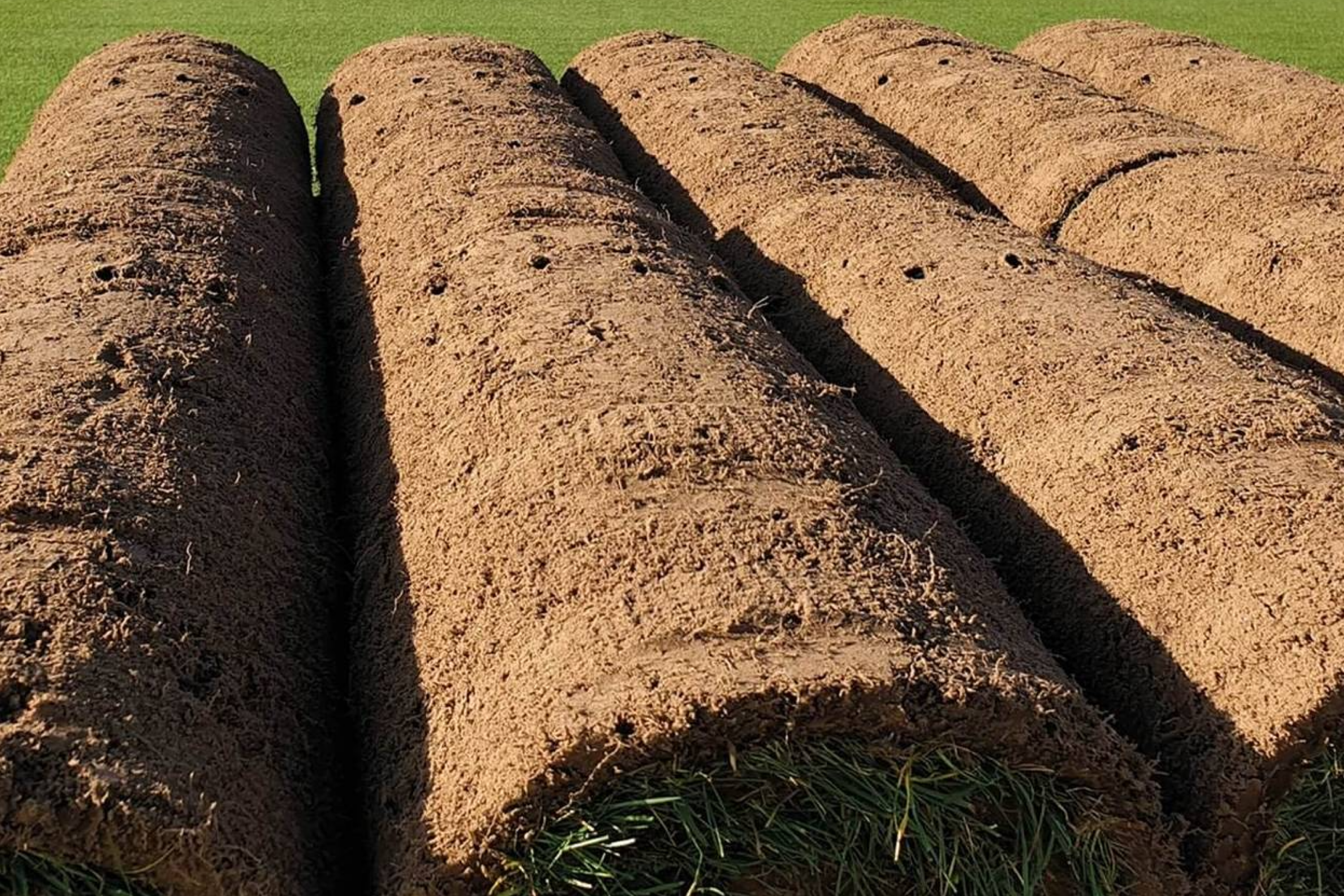 Why Buy Your Turf Online From Watmore's