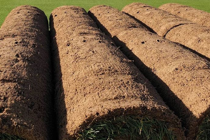 Why Buy  Your Turf Online From Watmore's