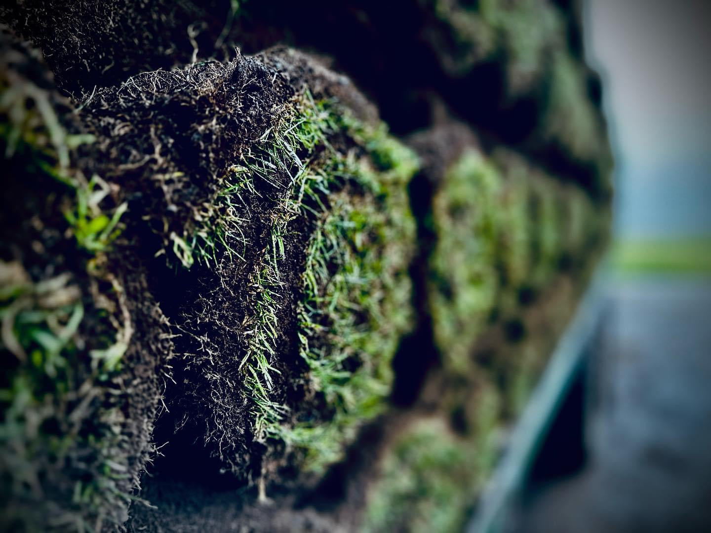 Premium Lawn Turf Next Day Delivery – Watmore's Turf