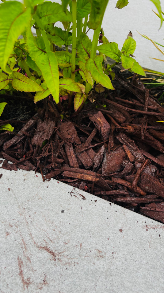 Natural Brown Decorative Bark Mulch