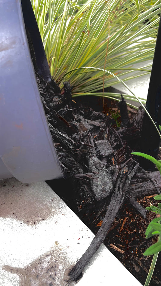 Black Decorative Bark Mulch