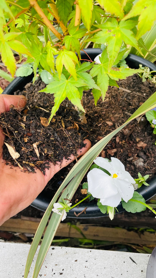 Composted Bark Fines ProBorder Mulch® Soil Improver