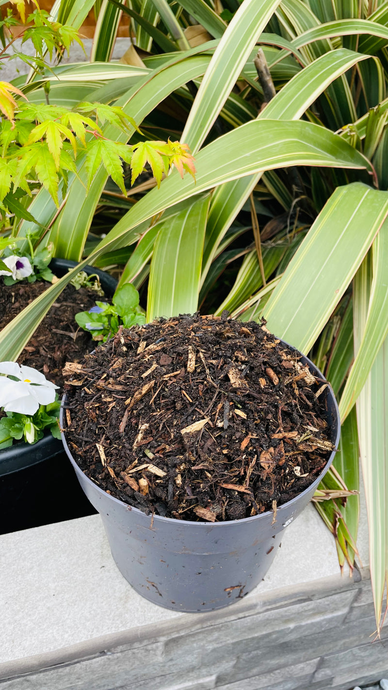 Load image into Gallery viewer, Composted Bark Fines ProBorder Mulch® Soil Improver
