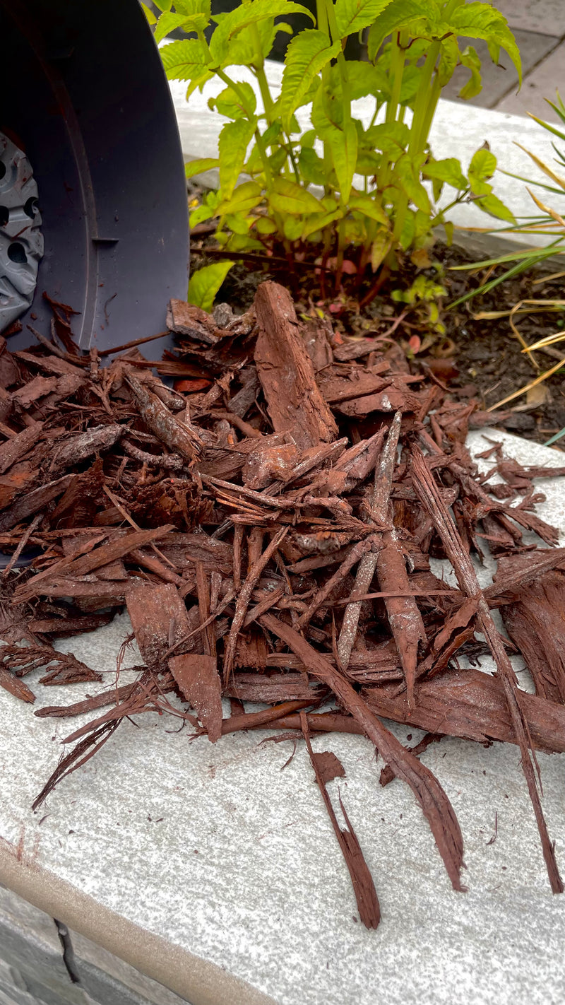 Load image into Gallery viewer, Natural Brown Decorative Bark Mulch
