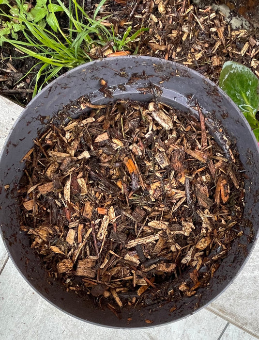Decorative Tree Bark Mulch 0-25mm Mini Bark