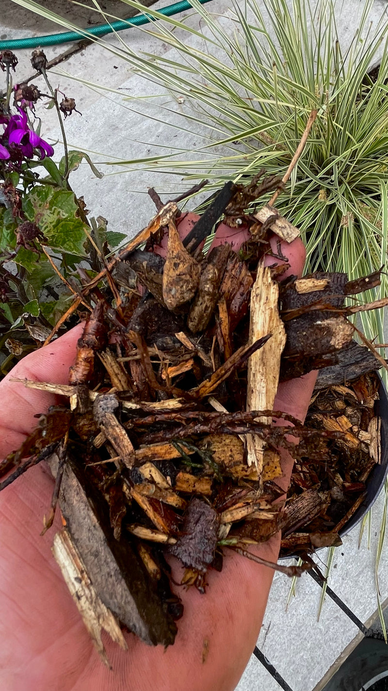 Load image into Gallery viewer, Garden Decorative Tree Bark Mulch 0-65mm
