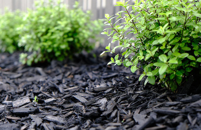 Load image into Gallery viewer, Black Decorative Bark Mulch
