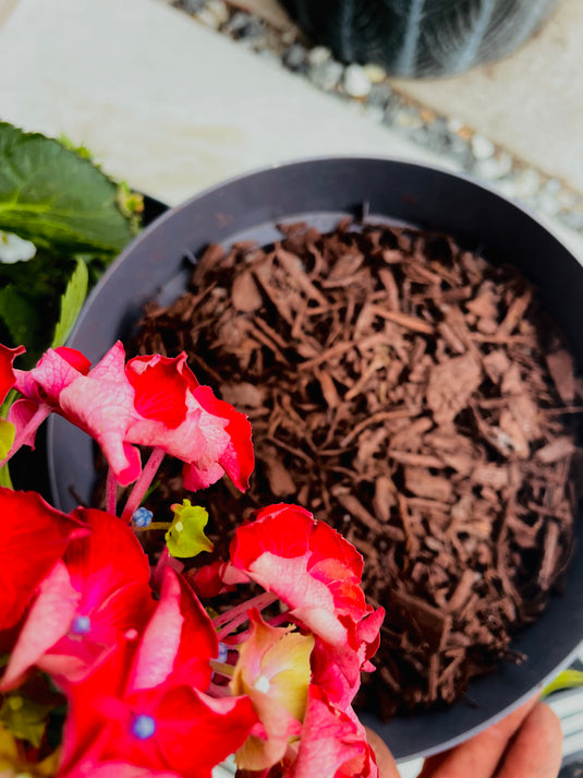 Natural Brown Decorative Bark Mulch