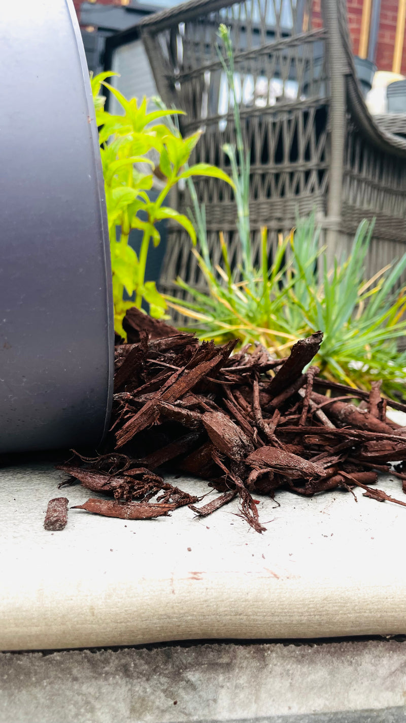 Load image into Gallery viewer, Natural Brown Decorative Bark Mulch
