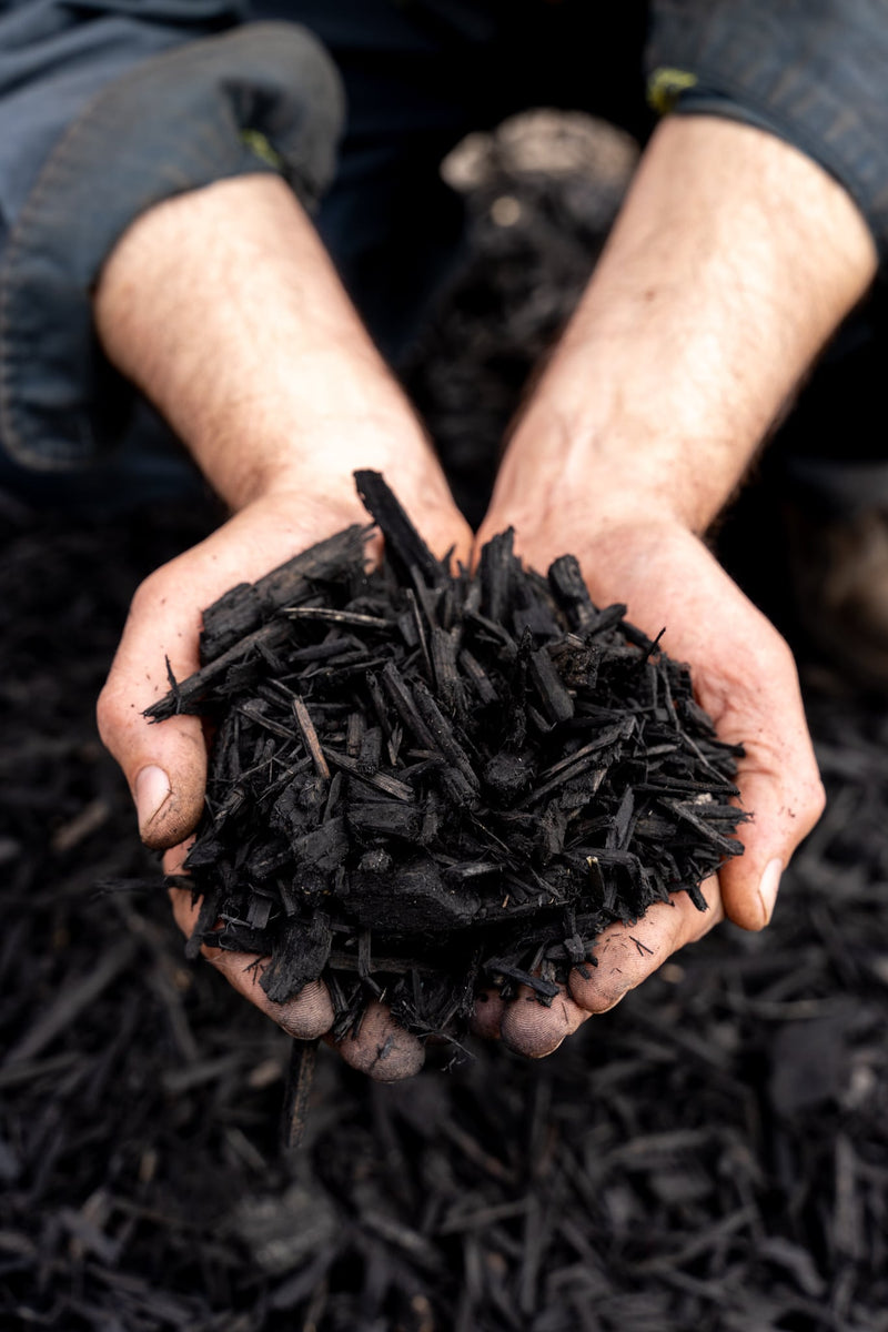 Load image into Gallery viewer, Black Decorative Bark Mulch
