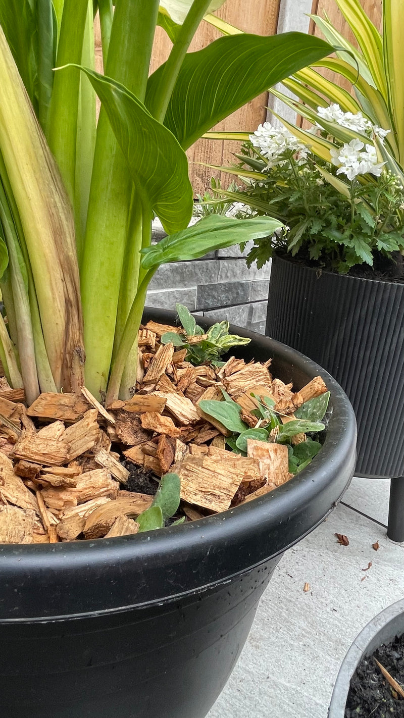 Load image into Gallery viewer, Garden &amp; Play Area Safe Wood Chip Softwood
