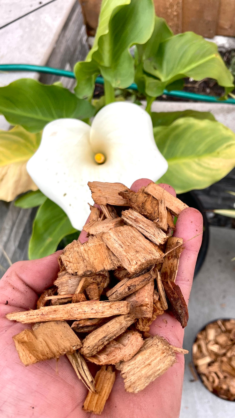 Load image into Gallery viewer, Garden &amp; Play Area Safe Wood Chip Softwood
