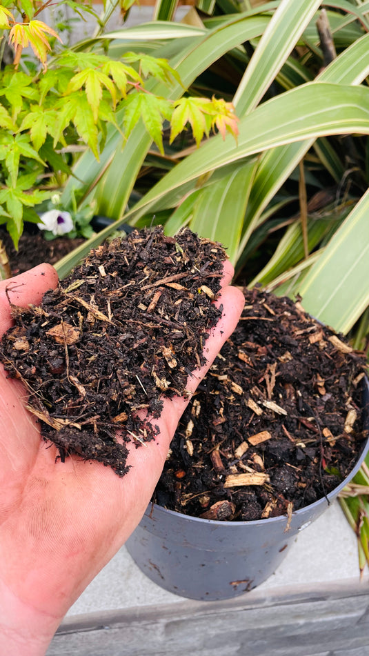 Composted Bark Fines ProBorder Mulch® Soil Improver