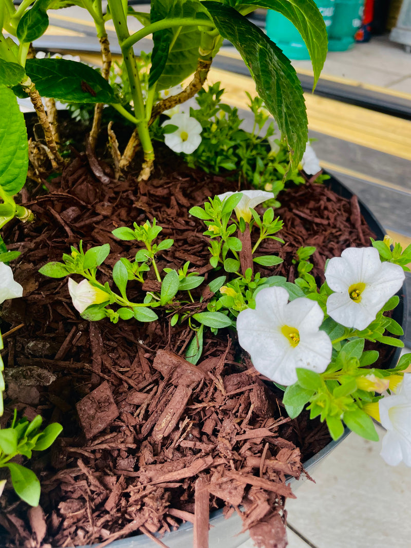 Load image into Gallery viewer, Natural Brown Decorative Bark Mulch
