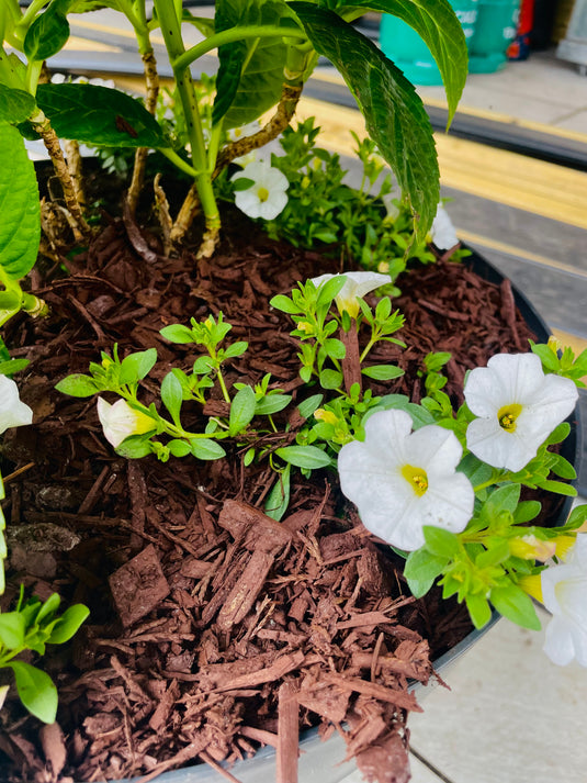 Natural Brown Decorative Bark Mulch