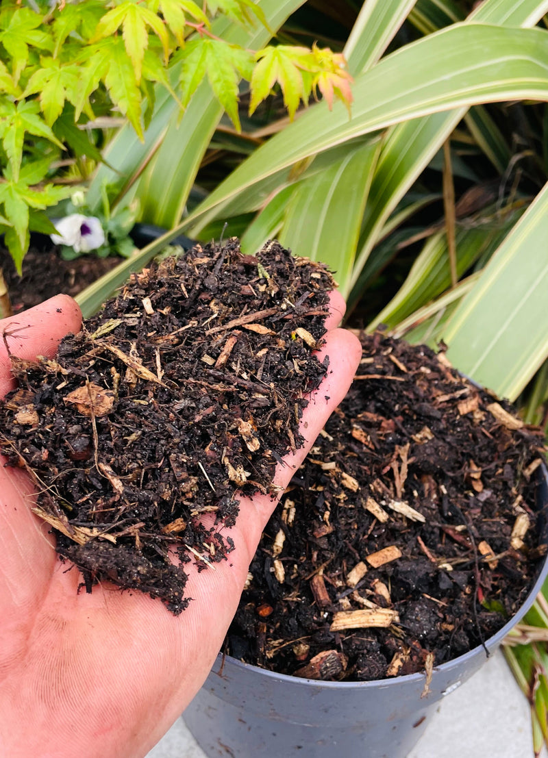 Load image into Gallery viewer, Composted Bark Fines ProBorder Mulch® Soil Improver
