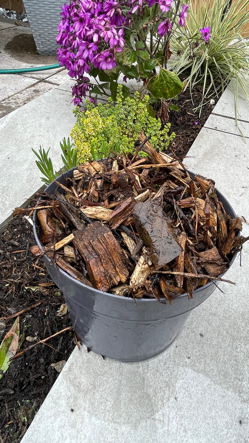 Load image into Gallery viewer, Garden Decorative Tree Bark Mulch 0-65mm
