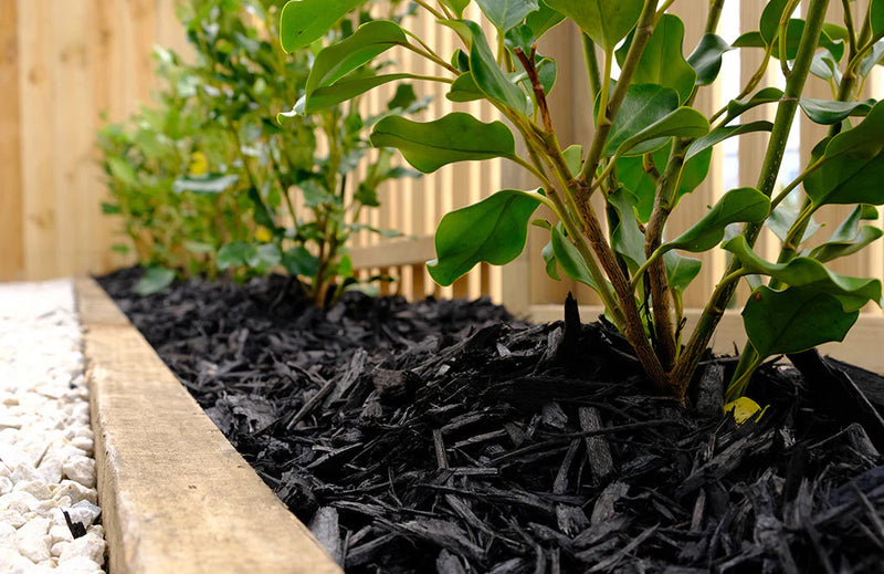 Load image into Gallery viewer, Black Decorative Bark Mulch
