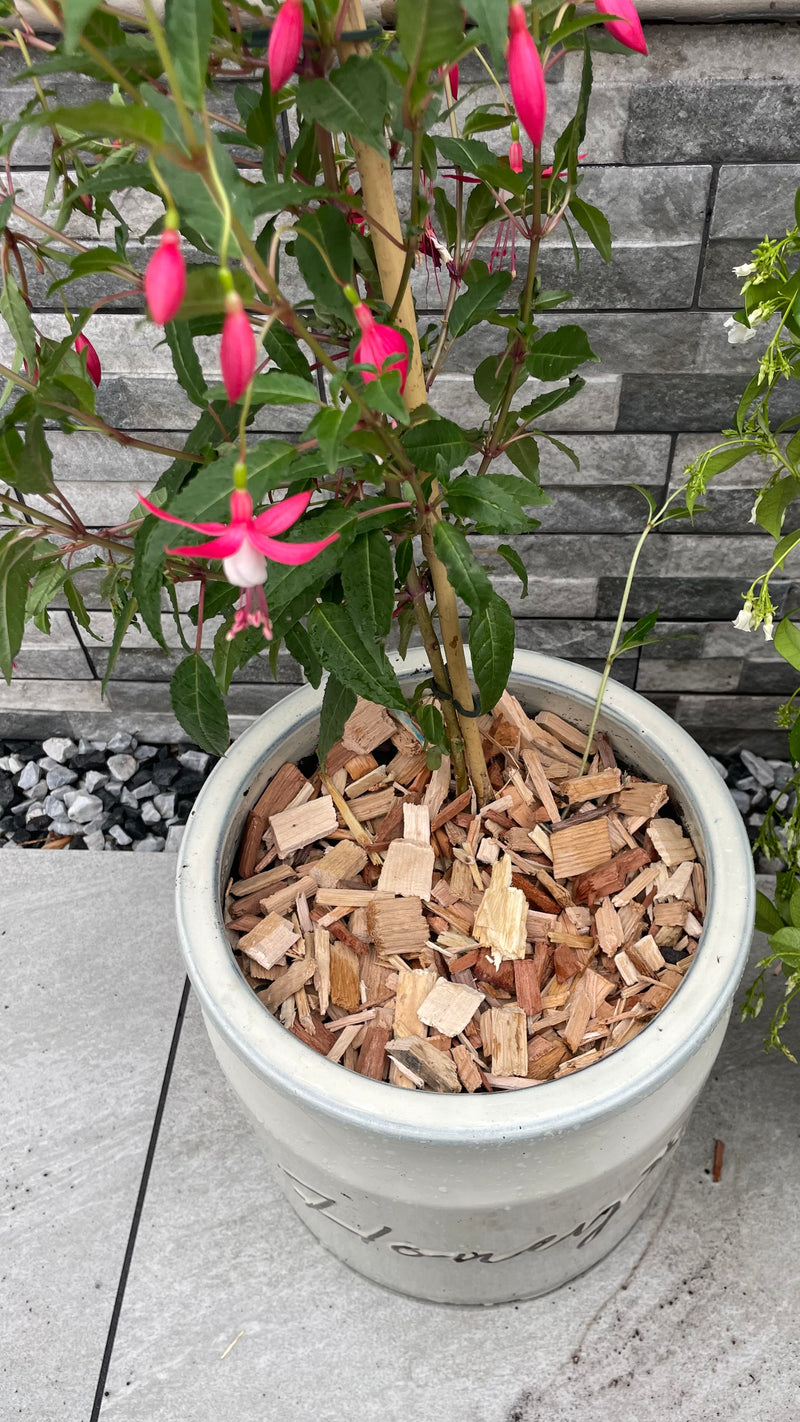 Load image into Gallery viewer, Garden &amp; Play Area Safe Wood Chip Hardwood

