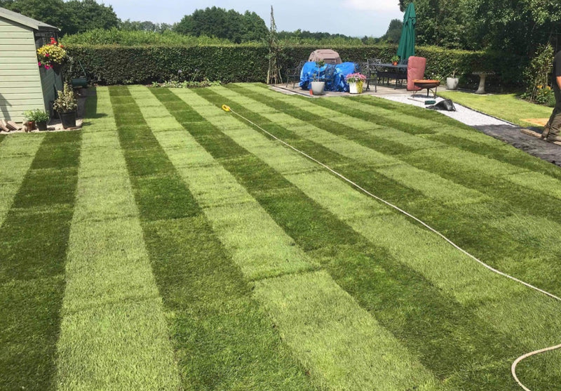 Load image into Gallery viewer, Watmore’s Olympic Sports Turf Per Square Metre
