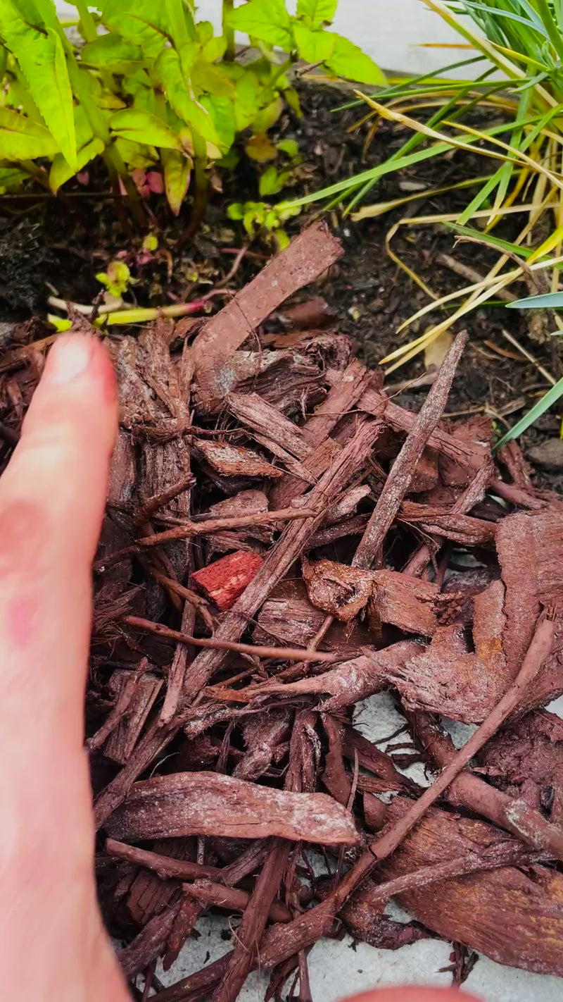 Load and play video in Gallery viewer, Natural Brown Decorative Bark Mulch
