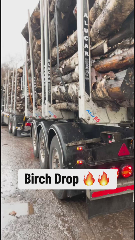 Seasoned Birch Firewood Logs Large Bulk Bags