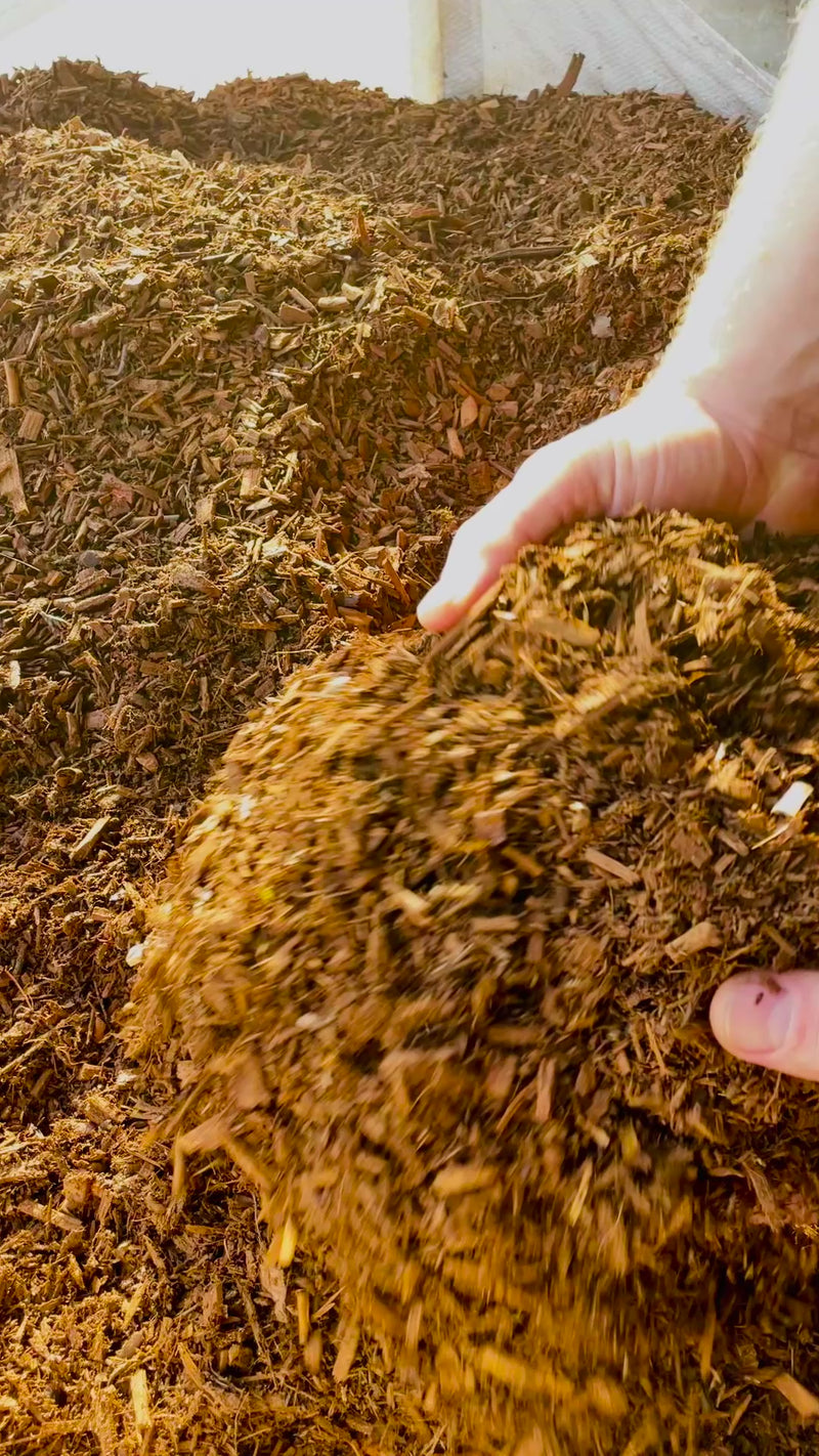 Load and play video in Gallery viewer, Cedar Gold Decorative Bark Mulch
