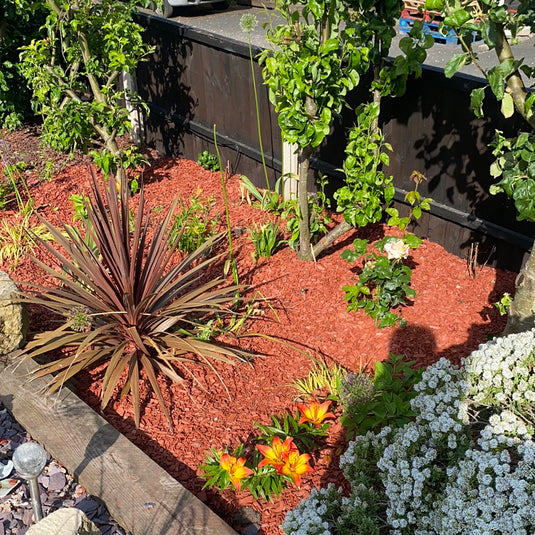 Red Decorative Bark Mulch Bulk Bag