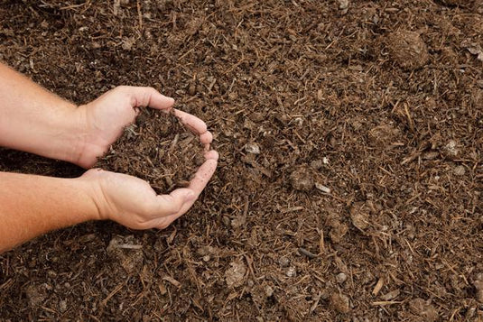 Mushroom Compost Value Pack: 40 x 50 Litre Pallet